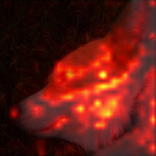 0_8_attn.png