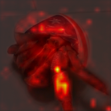 1006_3_attn.png