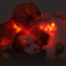 1006_4_attn.png