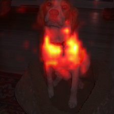 1006_6_attn.png