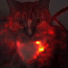 1006_8_attn.png