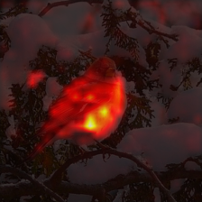 1007_1_attn.png