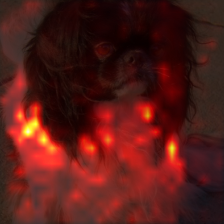 1008_2_attn.png