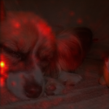 1008_4_attn.png