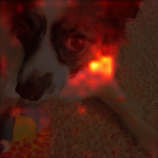 1008_5_attn.png