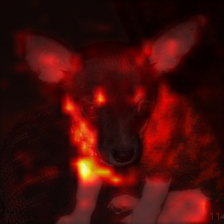 1008_6_attn.png