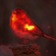 1009_1_attn.png