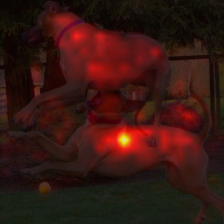 1009_9_attn.png