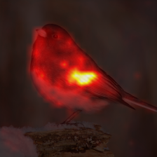 1010_0_attn.png