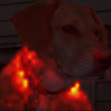 1010_3_attn.png
