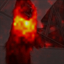 1010_4_attn.png