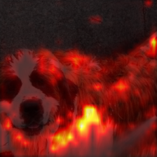 1010_6_attn.png