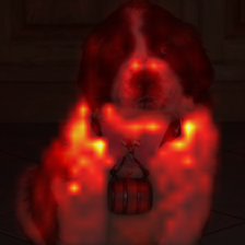 1010_7_attn.png