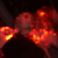 1011_1_attn.png