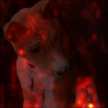 1011_2_attn.png