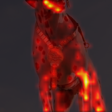 1011_8_attn.png