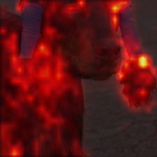 1011_9_attn.png