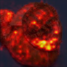 1013_2_attn.png