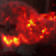 1014_2_attn.png