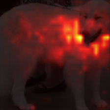 1015_1_attn.png