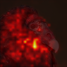 1016_0_attn.png