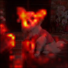 1017_2_attn.png
