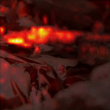 1019_0_attn.png