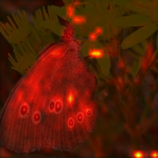 1019_2_attn.png