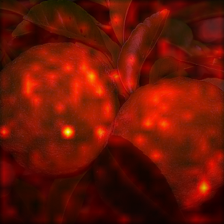 1019_9_attn.png