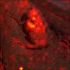 1030_6_attn.png