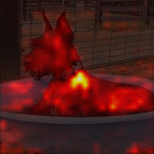 1031_0_attn.png