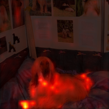 1033_1_attn.png