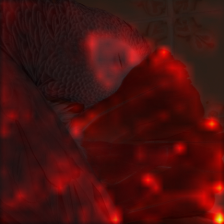 1033_3_attn.png