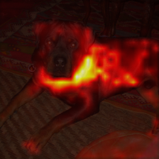 1034_3_attn.png