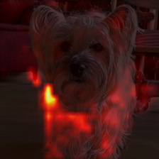 1034_4_attn.png