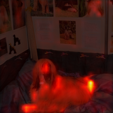 1034_9_attn.png