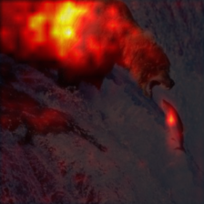 1036_3_attn.png