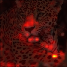 1039_2_attn.png