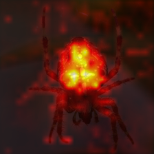 1040_3_attn.png