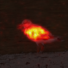 1040_8_attn.png
