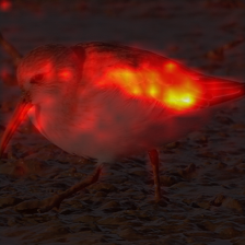 1040_9_attn.png