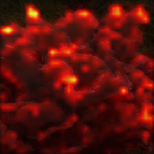 1042_1_attn.png