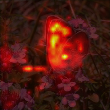 1042_2_attn.png
