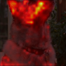 1048_3_attn.png