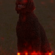 1048_8_attn.png
