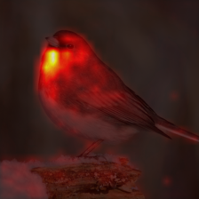 1050_0_attn.png