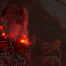 1050_3_attn.png