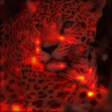 1053_0_attn.png