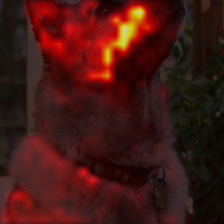 1054_0_attn.png