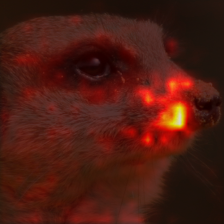 1054_1_attn.png